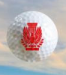 30th Annual AIA Hampton Roads Golf Tournament Sponsors